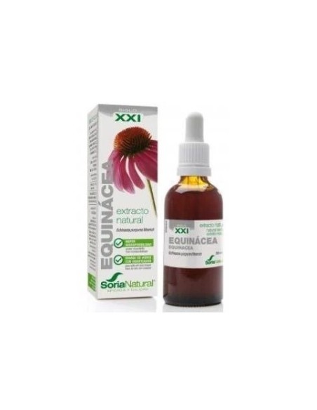 ECHINACEA HOMEOSOR 50 ML GOTAS