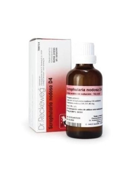 SCROPHULARIA NODOSA D4 RECKEWEG GOTAS 50 ML