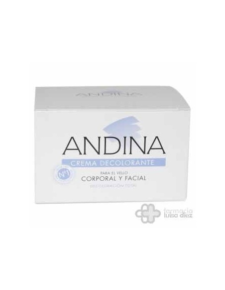 ANDINA CREMA DECOLORANTE GRANDE 100 GRAMOS